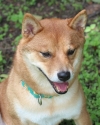 927_2016083042003.jpg